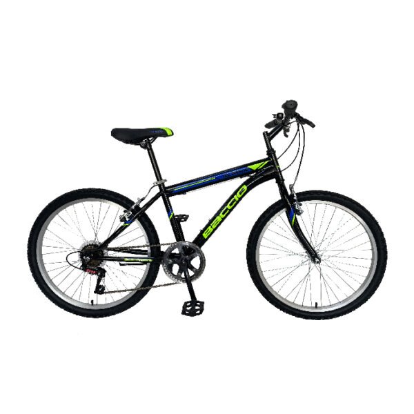 Bicicleta Baccio Alpina Man Rodado 26