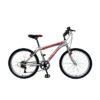 Bicicleta Baccio Alpina Man Rodado 26