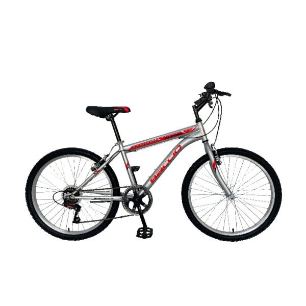 Bicicleta Baccio Alpina Man Rodado 26