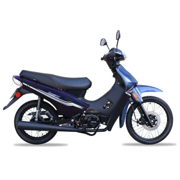 Moto Baccio P110 X